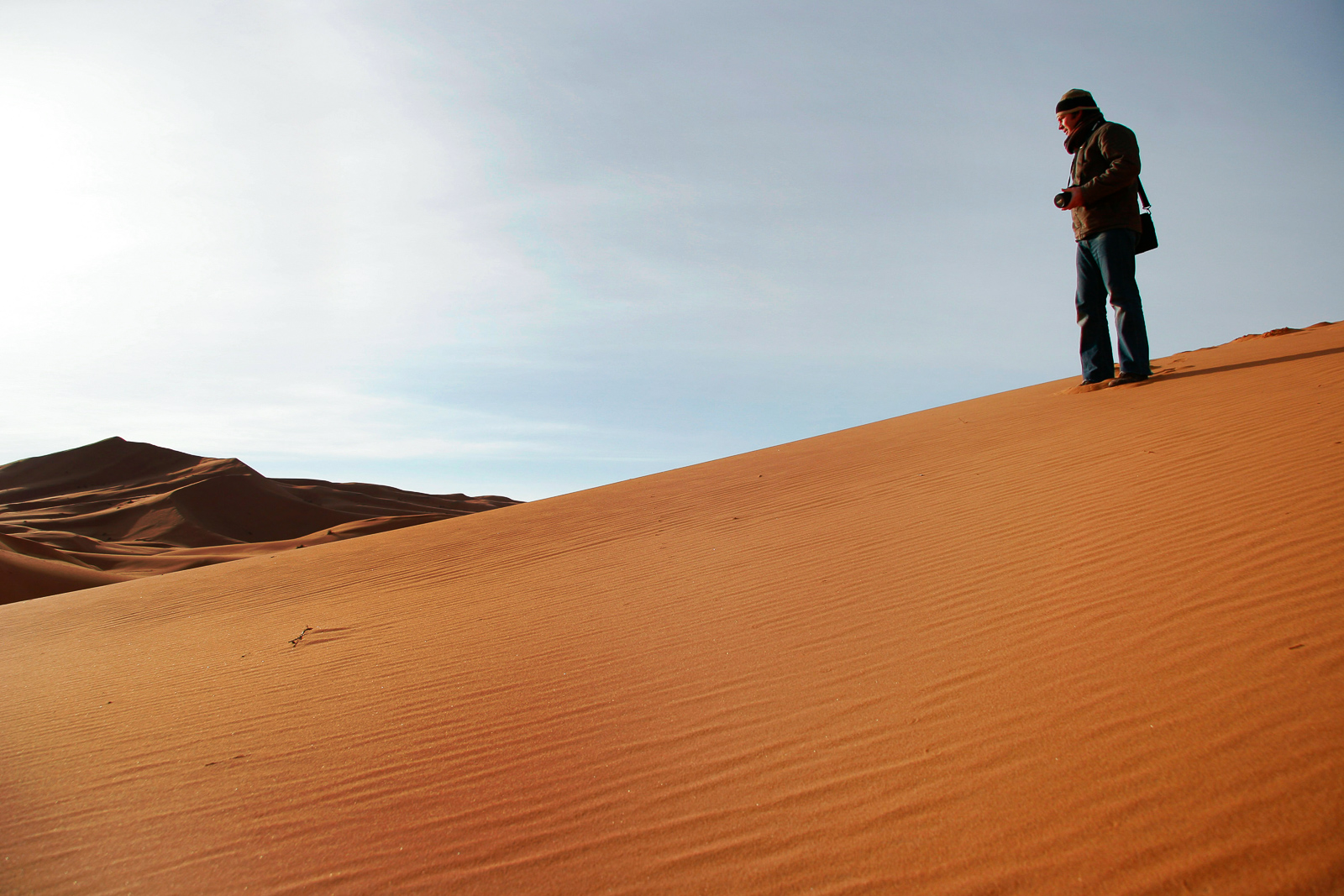 Steve, Morocco