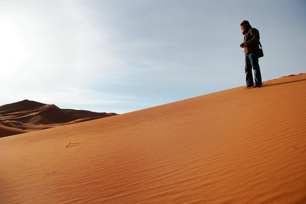 Steve, Morocco