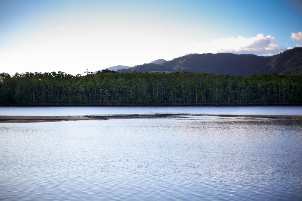 Daintree River, North Queensland
