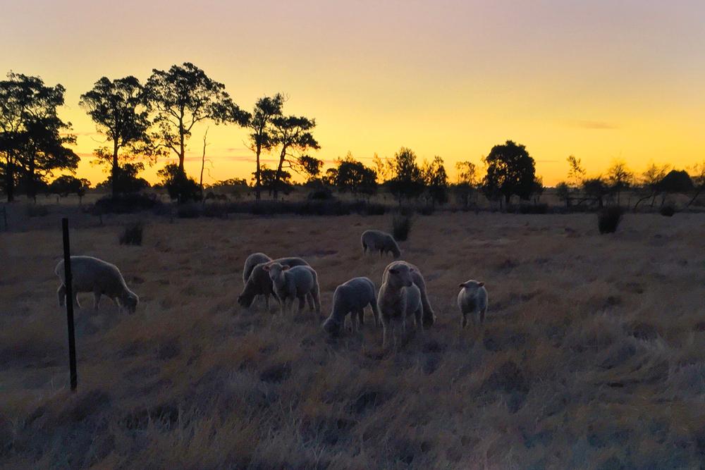 Yarloop, Western Australia