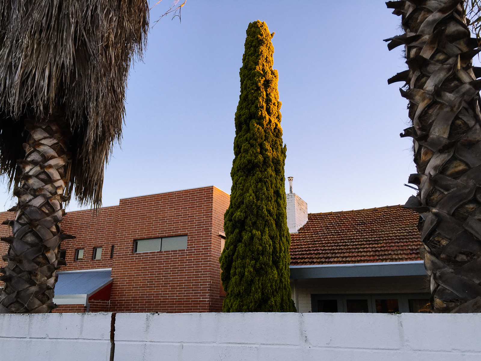 Walcott Street, Perth