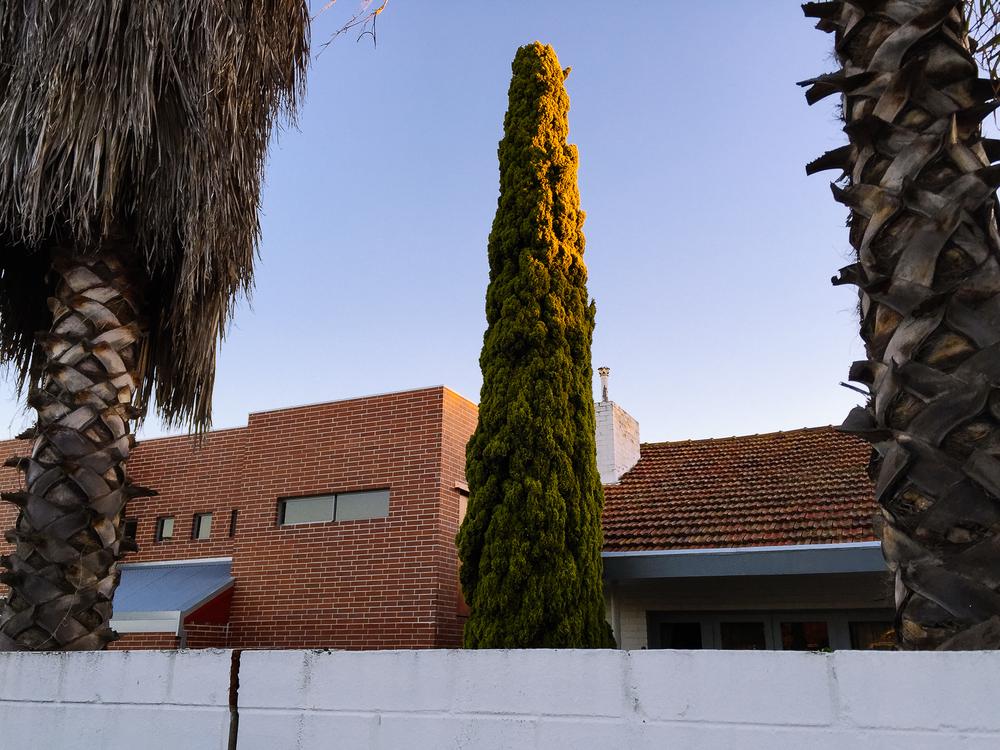 Walcott Street, Perth