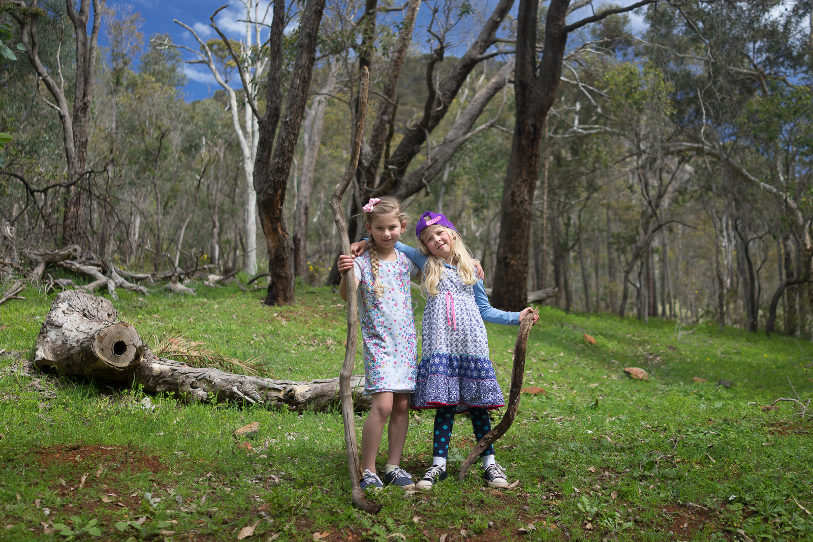 Serpentine Falls