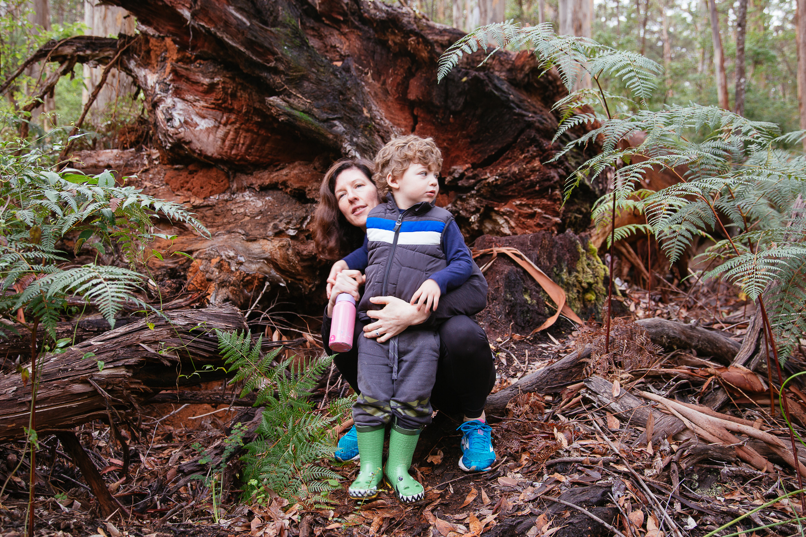 C & G, Karri Valley