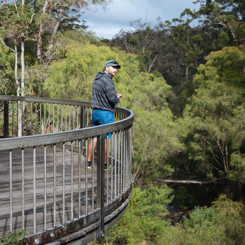 Cam, Karri Valley