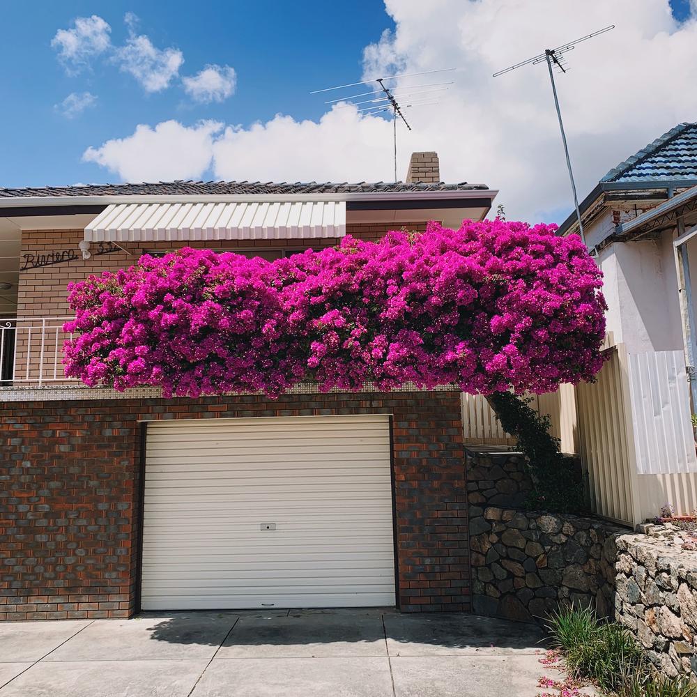 Leederville, Perth