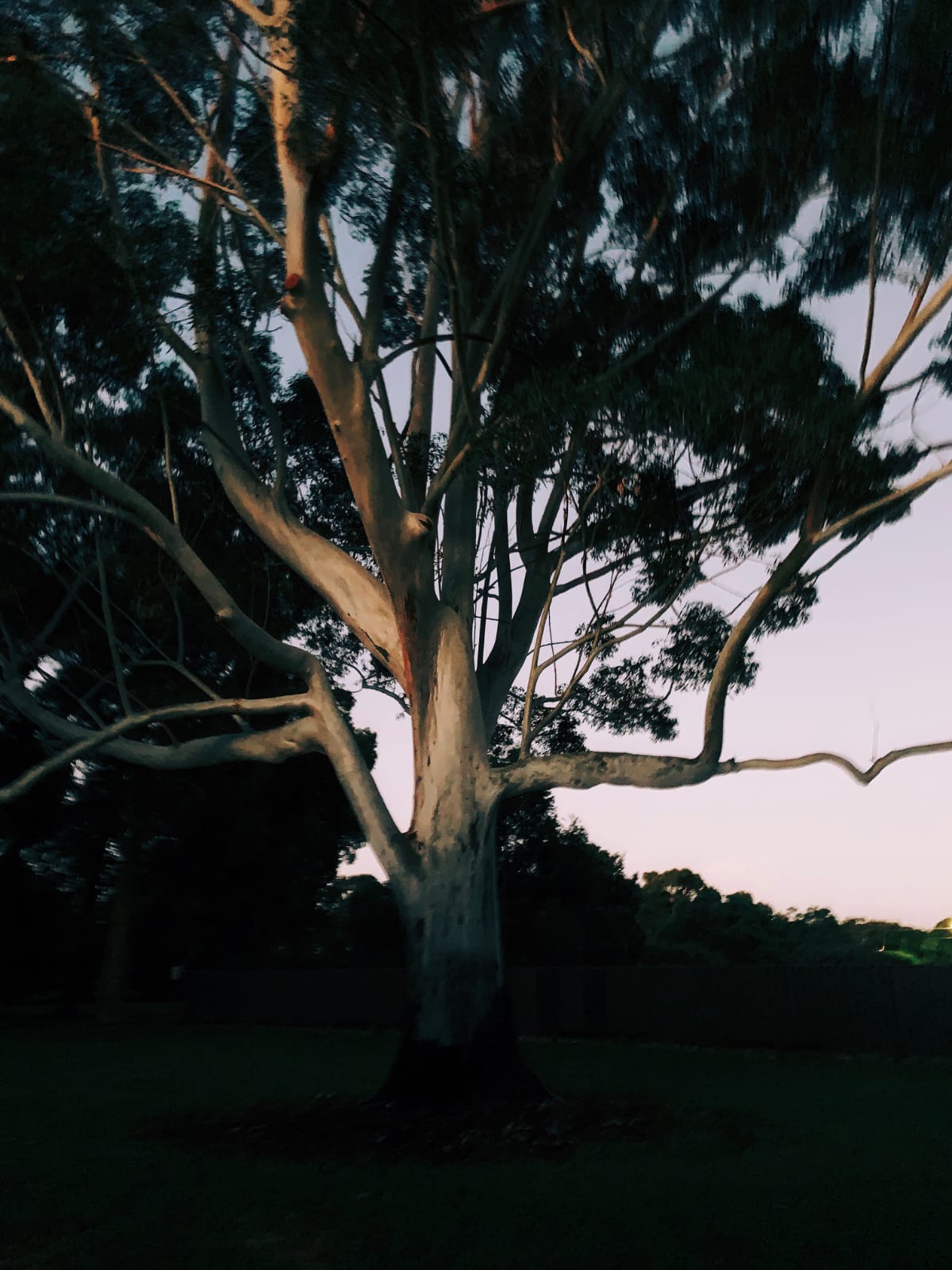 Leederville, Perth