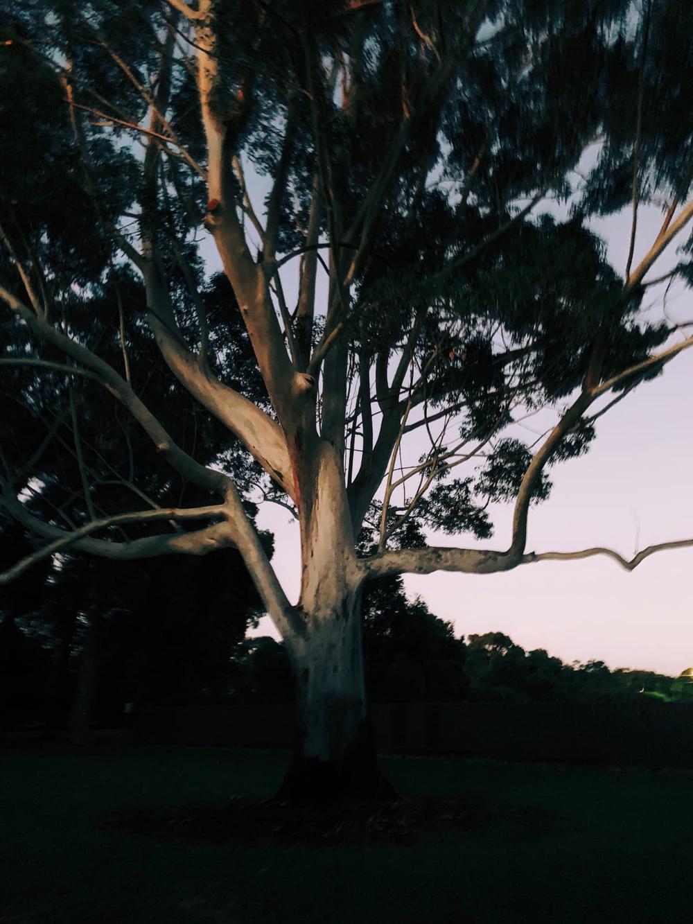Leederville, Perth