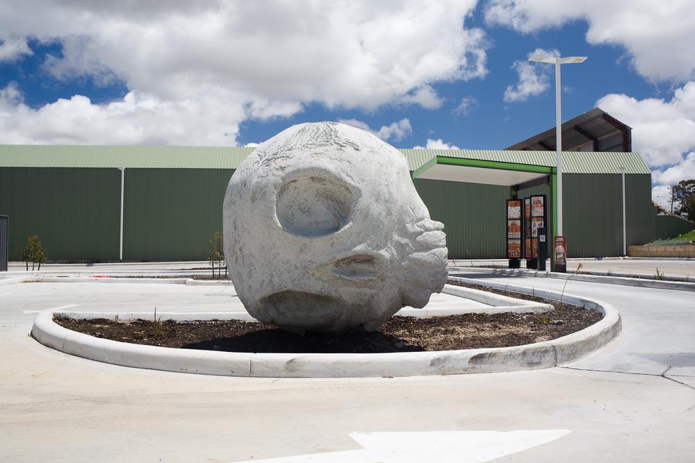 Stormie's skull