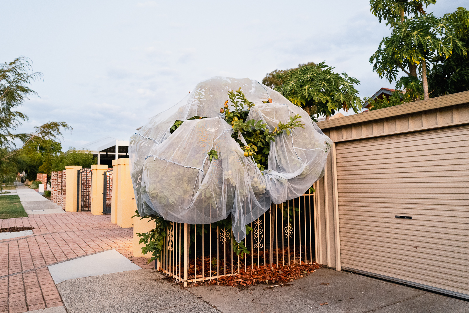 Leederville, Perth