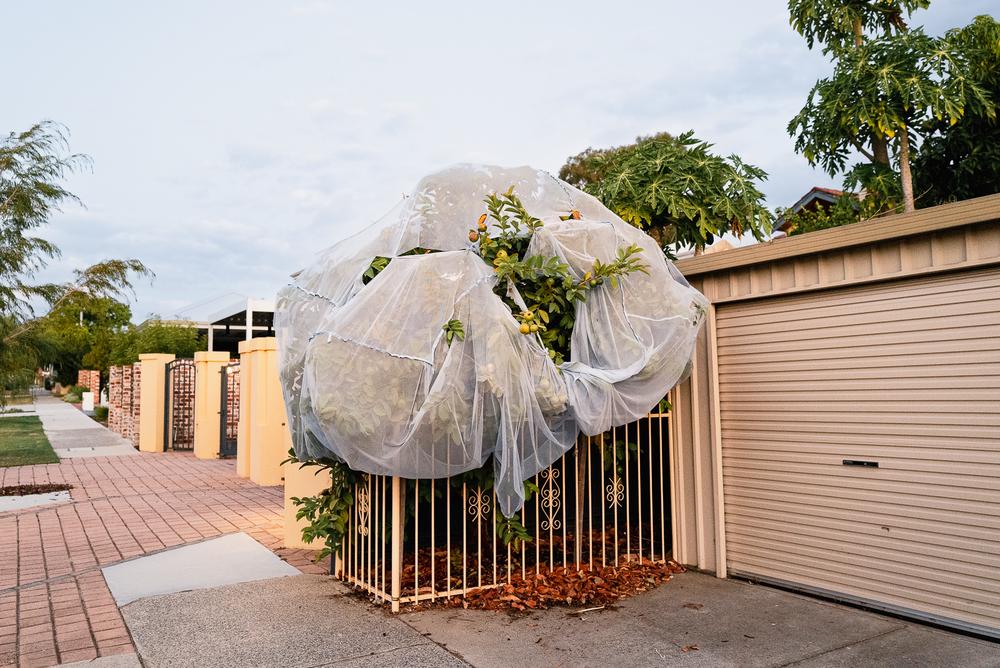 Leederville, Perth