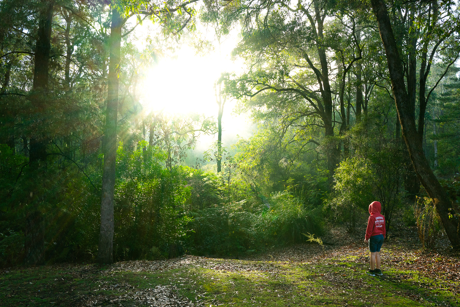 Nanga Mill Campground