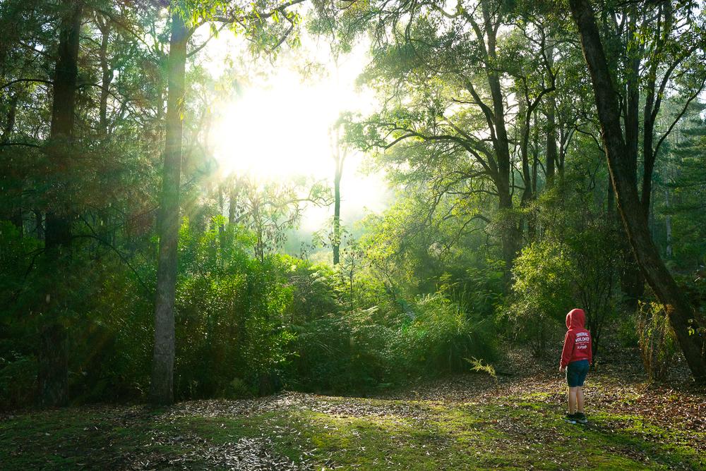 Nanga Mill Campground