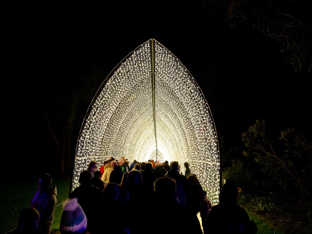 Kings Park Lightscape