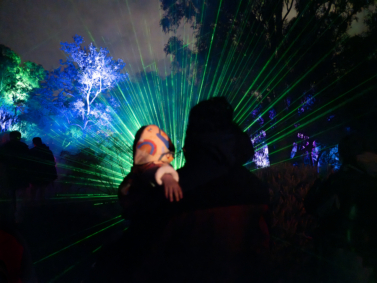 Kings Park Lightscape