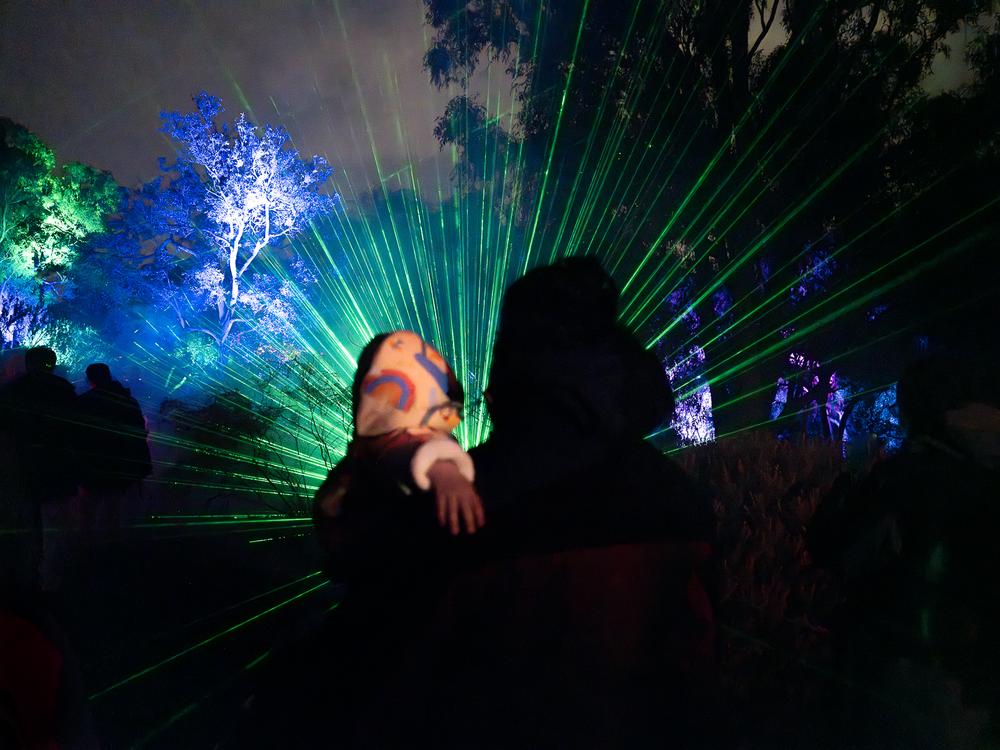 Kings Park Lightscape