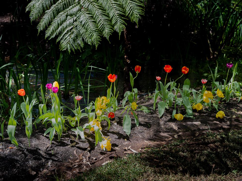 Araluen Botanic Park