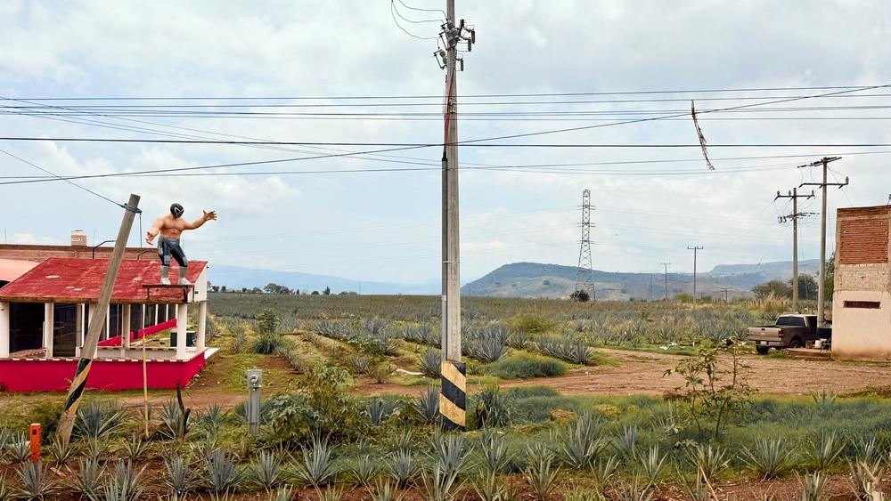 On the Road to Tequila