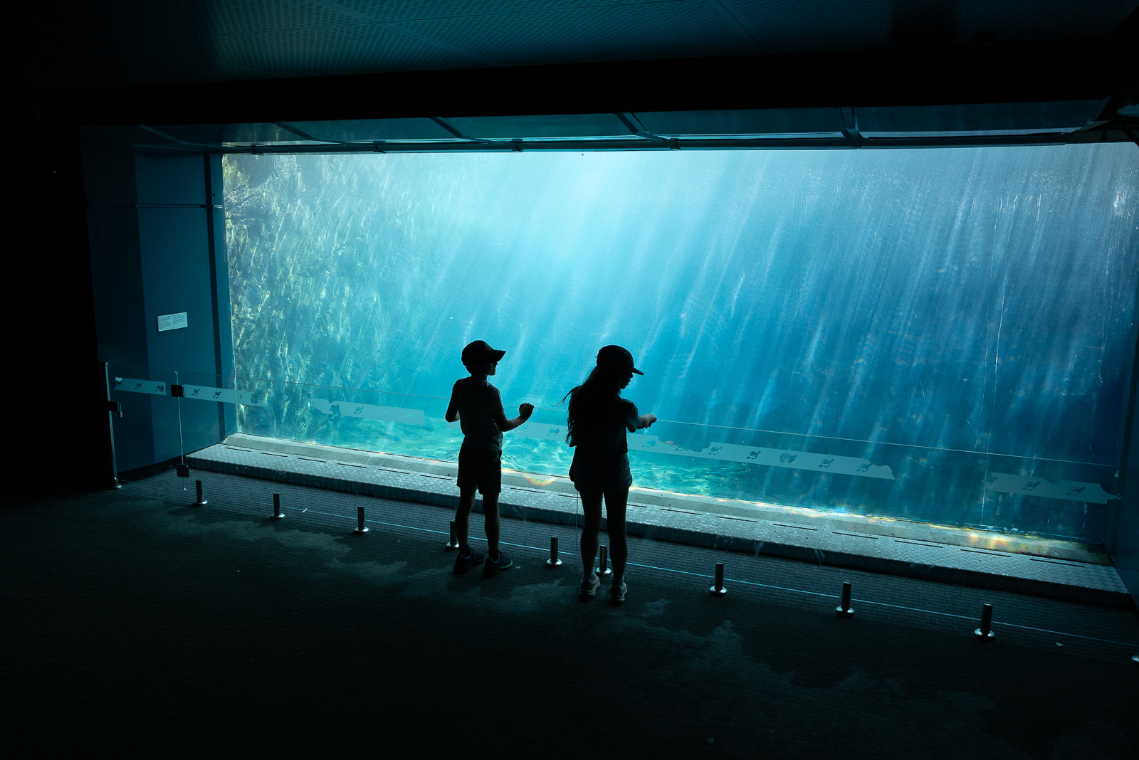 Taronga Zoo
